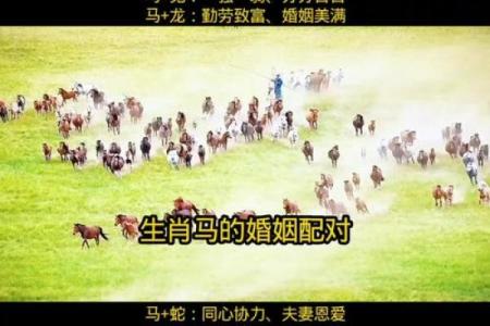 用《八字》给马小姐断婚姻之实例