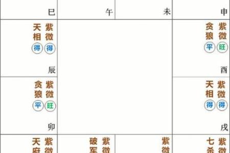 八字己土紫微星,己土命理分析