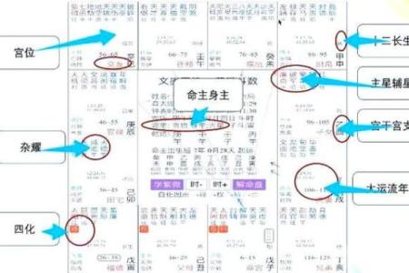 紫薇斗数厉害的人