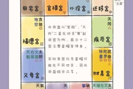 紫薇斗数性格怪异