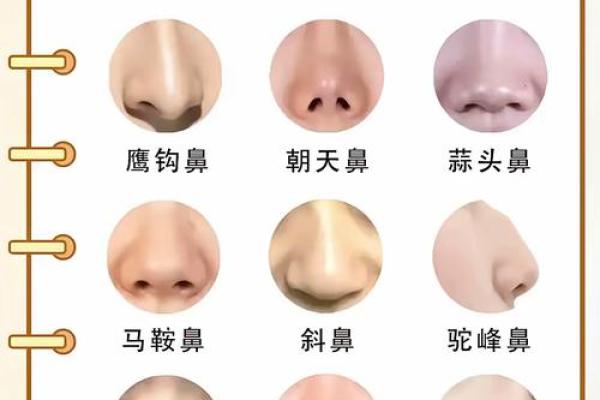 鼻子八字型特征及处理技巧！
