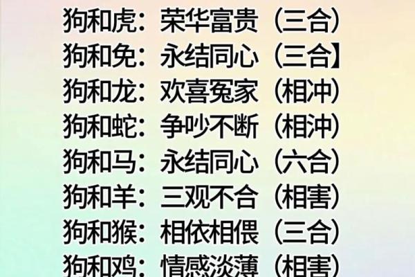 生肖配对查询表