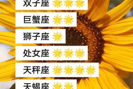 星座运势女生最喜欢的网站