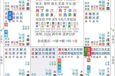 紫薇斗数软件破解