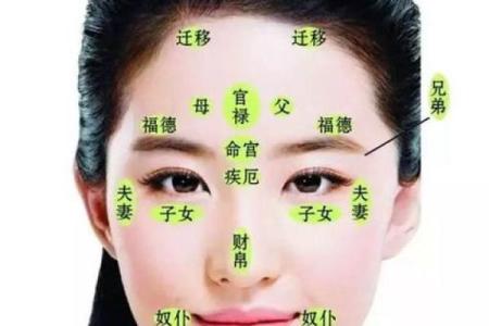 鼻子八字型特征及处理技巧！