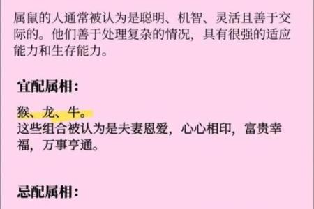 属鸡双子座与属猪处女座配对如何