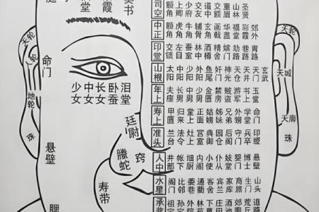 发际线的面相风水，你知道吗