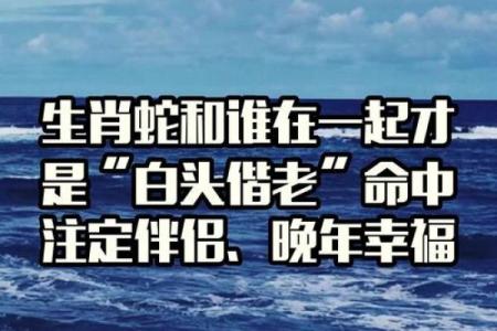蛇和什么属相配对幸福