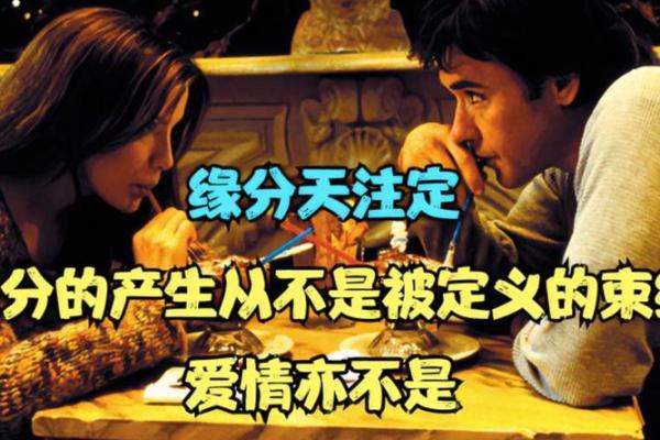 缘分是天注定姓名配对 缘份真的是天注定的-？