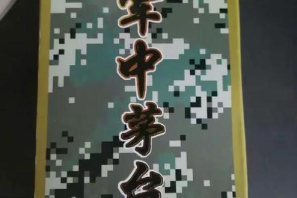 部队的房子一般风水如何