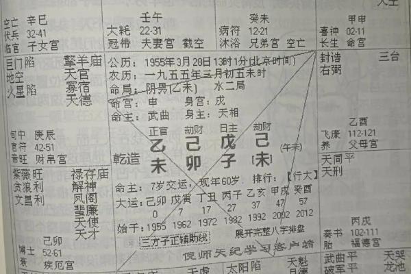 梅花占卜和紫薇斗数的区别