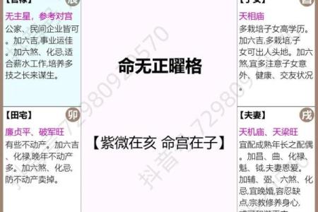 算命免费紫微斗数 算命紫微斗数在线算免费？