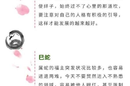 姓名与命运免费测试