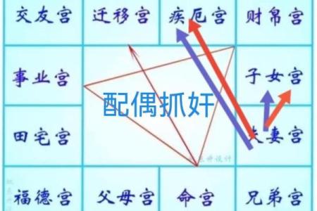 紫微斗数诸星落命宫之：天月星详解
