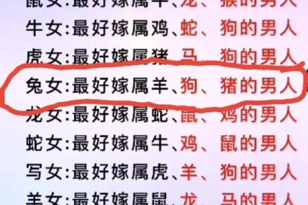 99年属什么生肖配对结婚 99年属什么和什么生肖最配