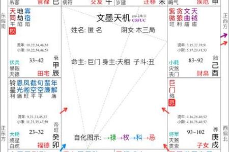 飞廉紫薇斗数流年