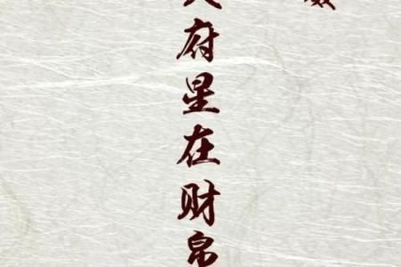 紫微斗数之财帛宫与诸星，天府星在财帛宫是什么意思？