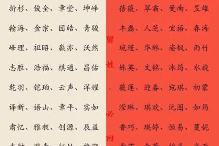 属蛇姓名五行配对 属蛇五行查询？