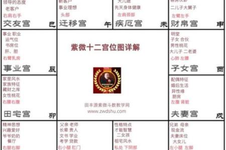 大运紫微斗数命盘查询详解 紫微斗数大运什么意思？