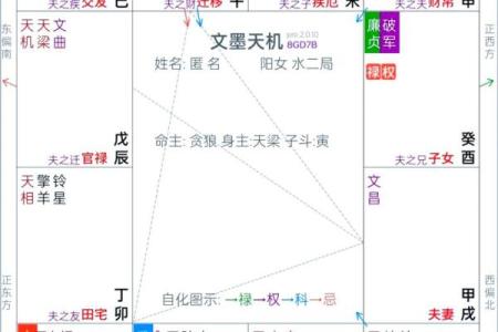 紫微斗数之各星曜所主行业：看限运事业