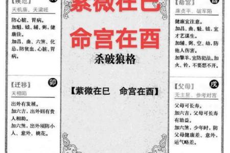 紫薇科技紫微斗数 紫微斗数 紫薇？