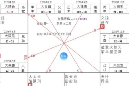 梅花占卜和紫薇斗数的区别