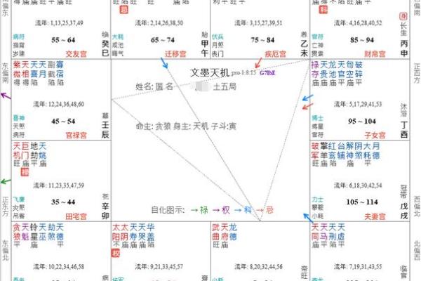 紫薇斗数将军在疾恶