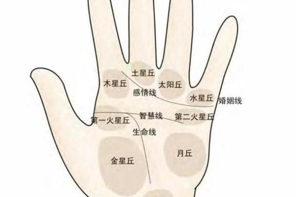 手相图解大全女右手算命 看手相算命图解女性右手