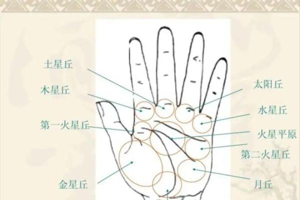 怎么看相算命,看相算命真的很准确