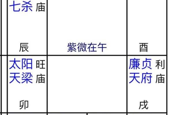 紫薇斗数盘解析