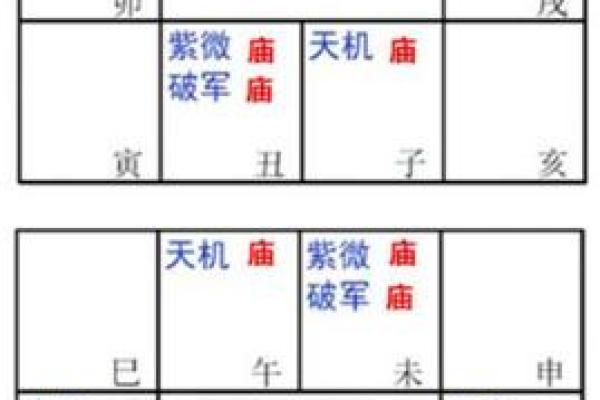 紫薇斗数太阳馅流年如何