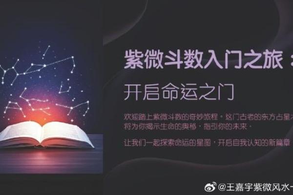 元亨利紫薇斗数