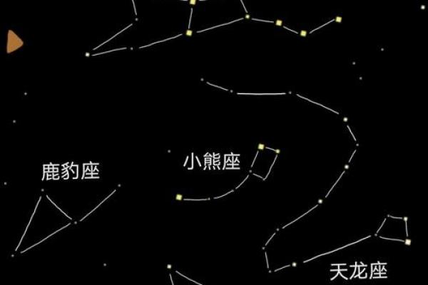 天龙座的星座传说及由来