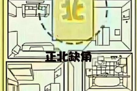 金命人买房朝向什么方位最好