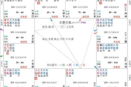 紫薇斗数将军在疾恶