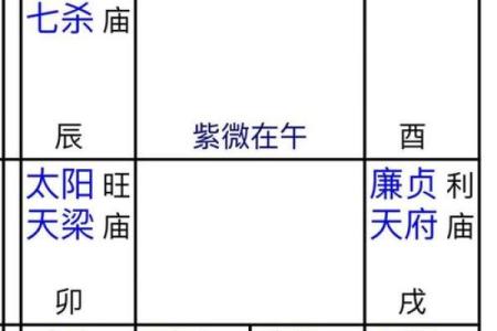 紫薇斗数盘解析