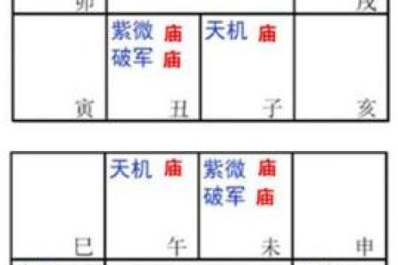 紫薇斗数太阳馅流年如何