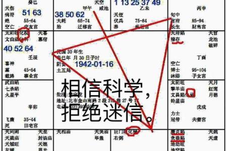 紫薇斗数导语
