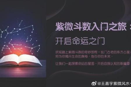 元亨利紫薇斗数