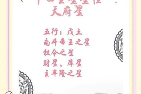 紫微斗数密宗 紫微斗数密宗星法？