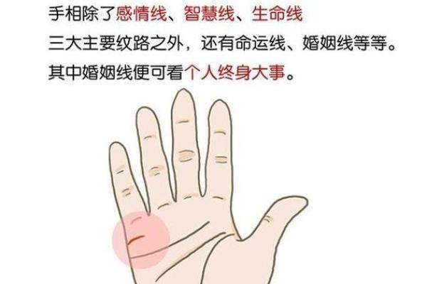 男人左手手纹算命图解婚姻线 感情线预示感情状况