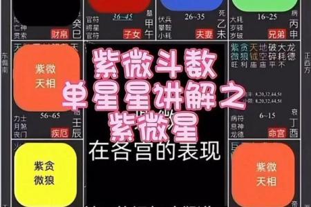 观星阁紫薇斗数