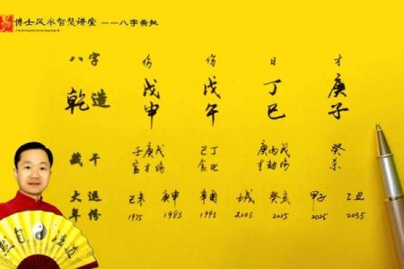 己亥生辰八字详解大全女命