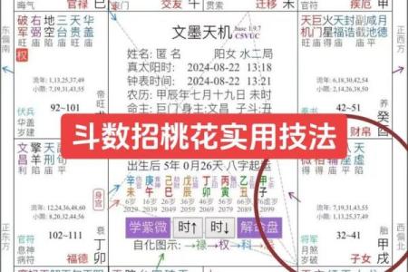 紫薇斗数看公职