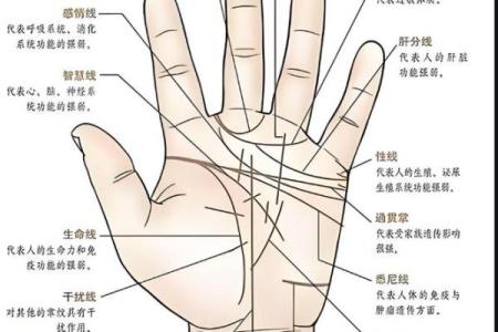 掌纹算命可靠