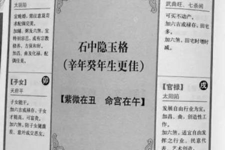 紫薇斗数流年命盘