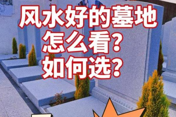如何看祖坟地风水宝地