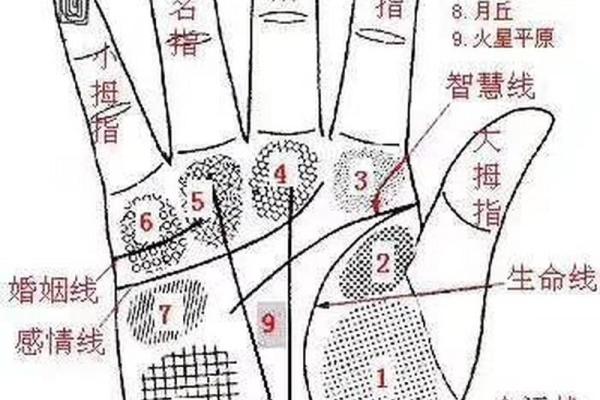 详细分析：手掌中的指纹预测算命，快来算算你的运势如何！