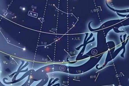 紫薇斗数天罗地网