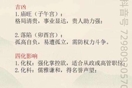 紫微斗数之事业宫与诸星，巨门星在事业宫是什么意思？